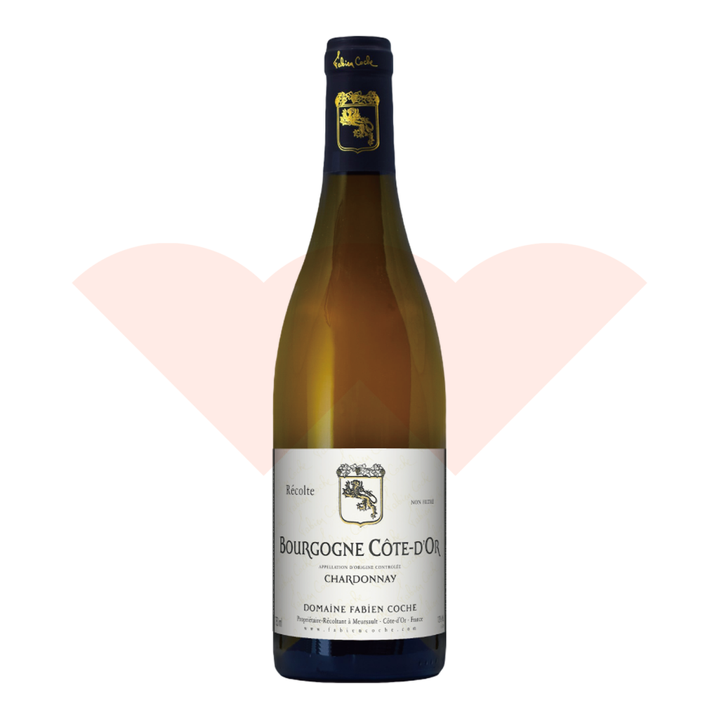watermark-backfill-17384789-fabien-coche-bourgogne-cote-d-or-chardonnay-2022-750ml