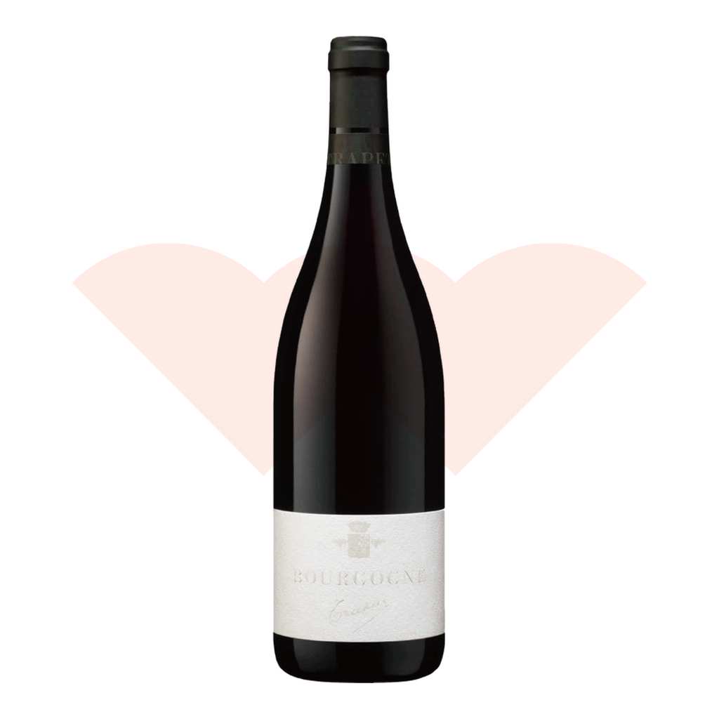 watermark-backfill-17385957-trapet-pere-fils-bourgogne-rouge-2022-750ml