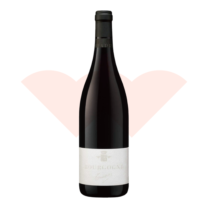 watermark-backfill-17385957-trapet-pere-fils-bourgogne-rouge-2022-750ml