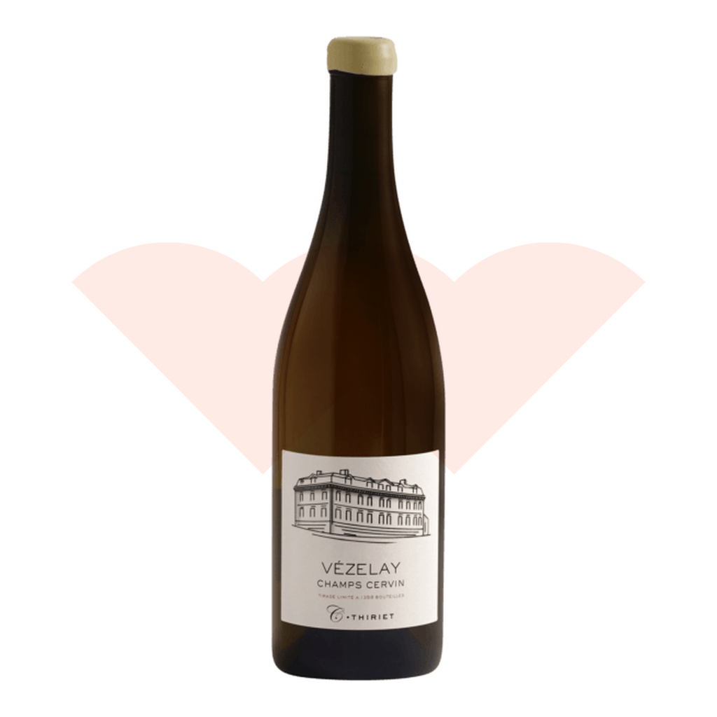 camille-thiriet-vezelay-champs-cervin-2019-20261001b