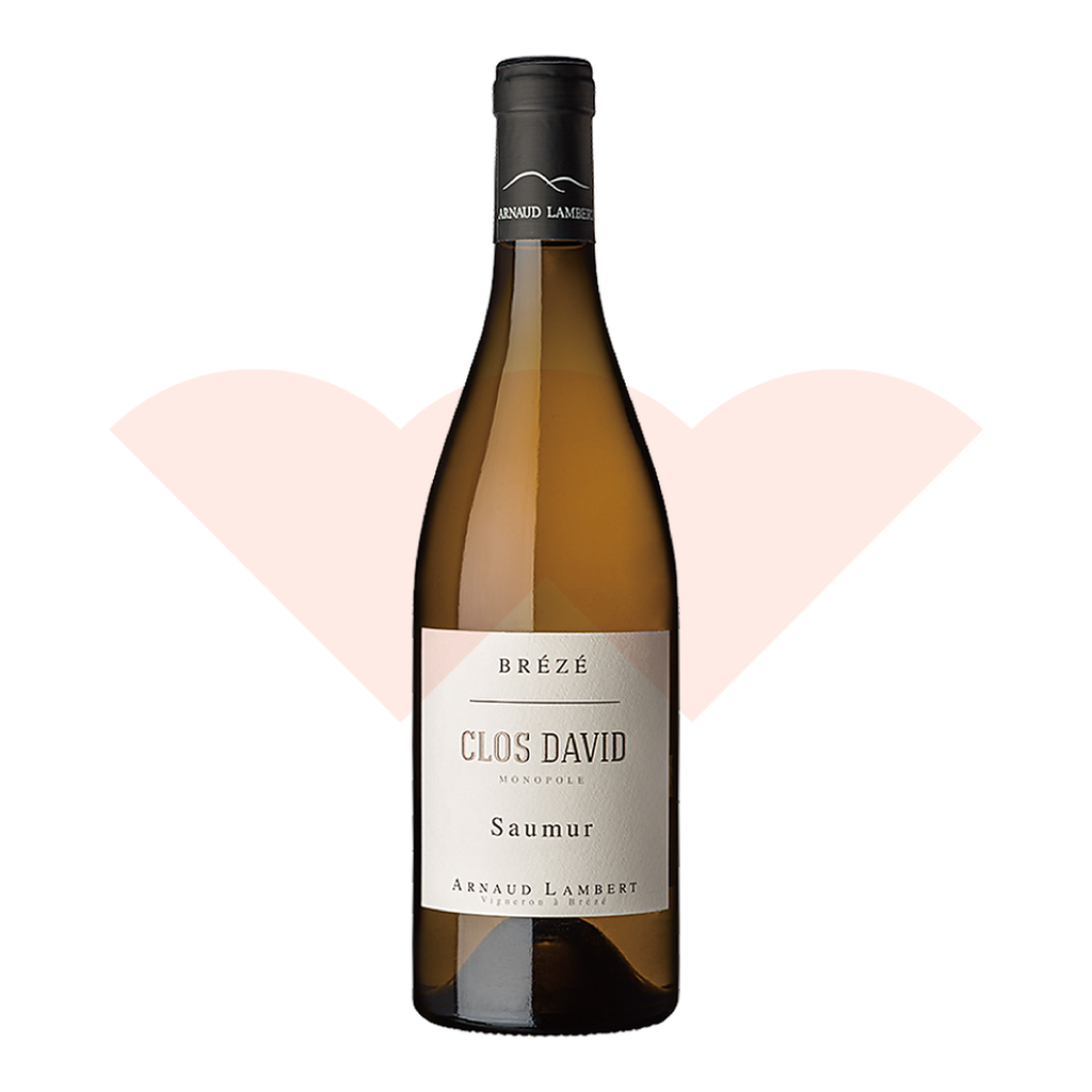 arnaud-lambert-saumur-david-2022-750ml