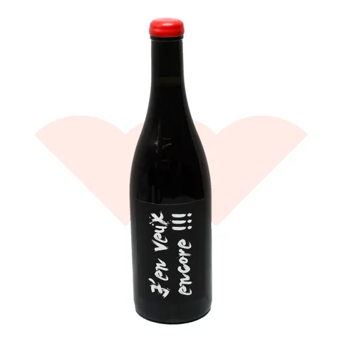 jean-francois-ganevat-j-en-veux-encore-2022-750ml-ganevat-shopify-20261010