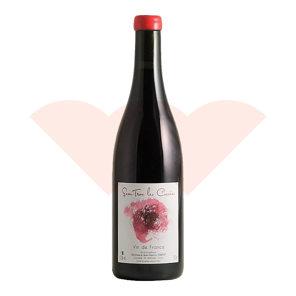jean-francois-ganevat-seau-trou-les-corvees-rouge-2016-750ml-ganevat-20261010