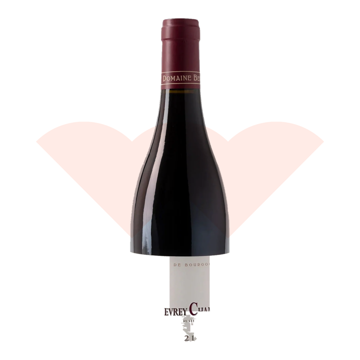 berthaut-gerbet-gevrey-chambertin-2021-750ml-ganevat-20261010