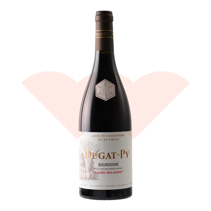 dugat-py-bourgogne-cuvee-halinard-2020-750ml-ganevat-20261010