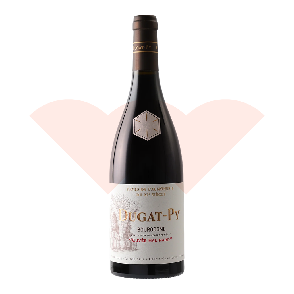 dugat-py-bourgogne-cuvee-halinard-2019-750ml-ganevat-20261010