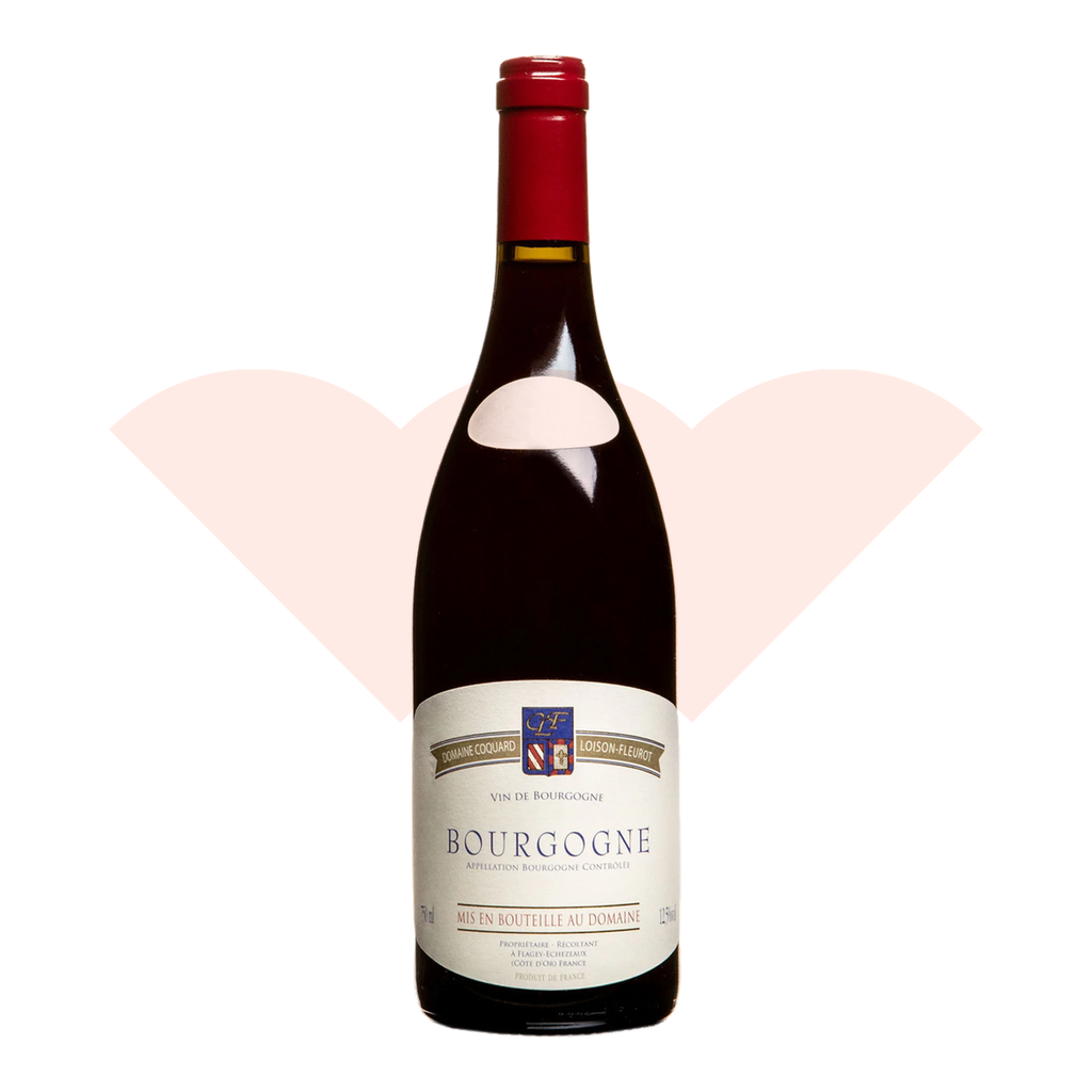 coquard-loison-fleurot-bourgogne-2020-750ml-ganevat-20261010