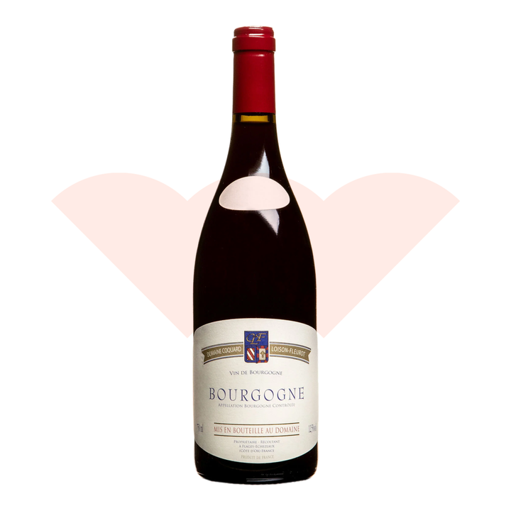 coquard-loison-fleurot-bourgogne-2020-750ml-ganevat-20261010
