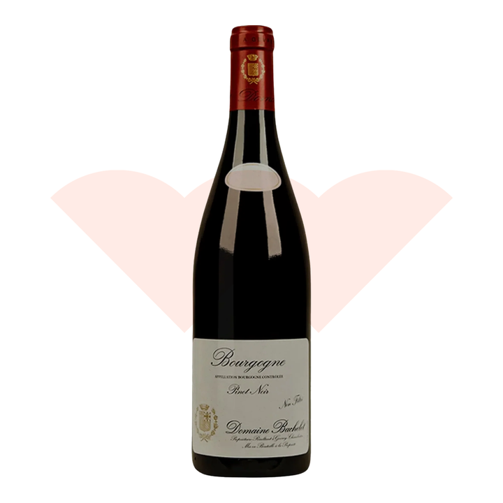denis-bachelet-bourgogne-2019-750ml-lavie-shopify-1a3b-20261020