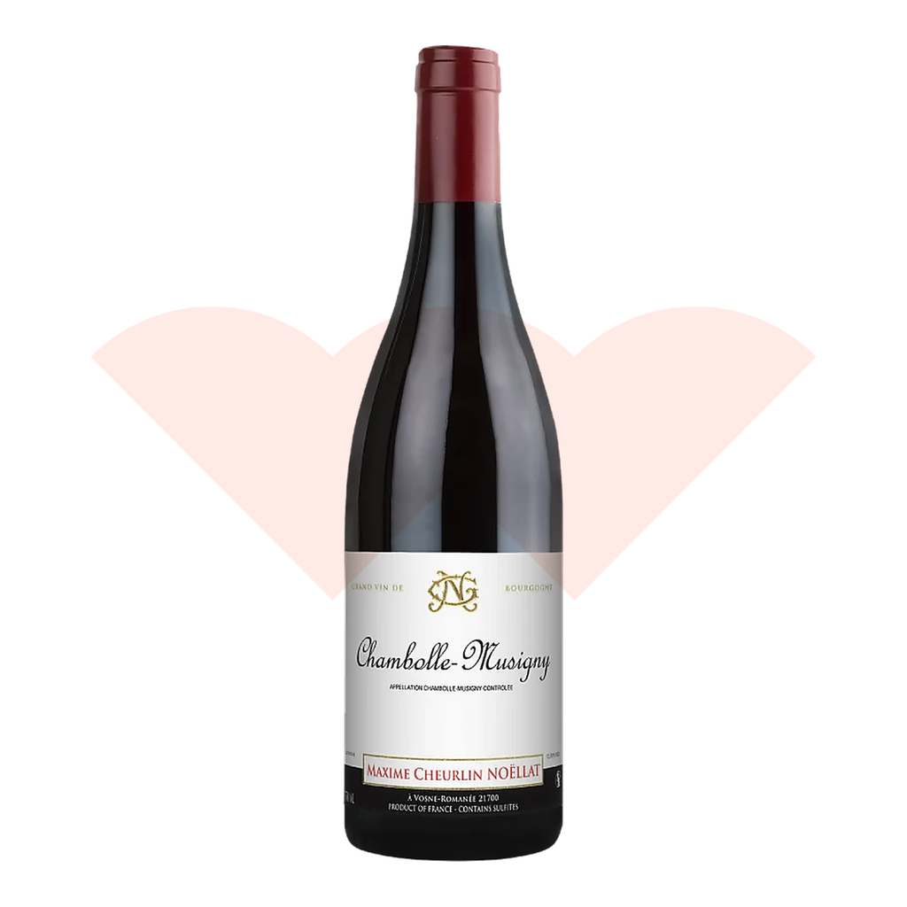 maxime-cheurlin-noellat-chambolle-musigny-2023-bur-mcn-cm000000-230