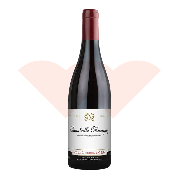 maxime-cheurlin-noellat-chambolle-musigny-2023-bur-mcn-cm000000-230