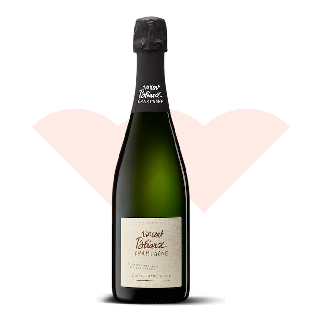 vincent-bliard-libre-comme-lair-nv-20261021