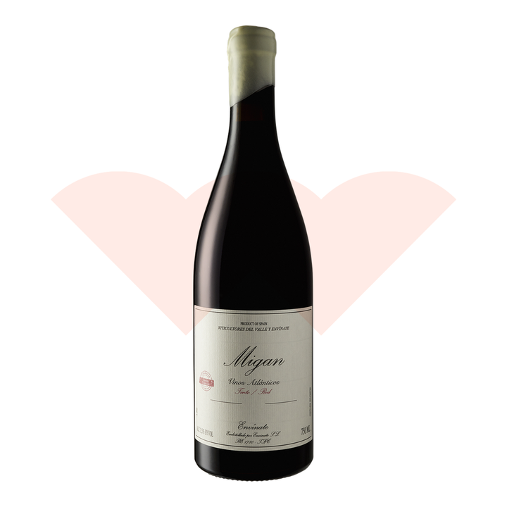envinate-migan-2019-750ml-sie011219