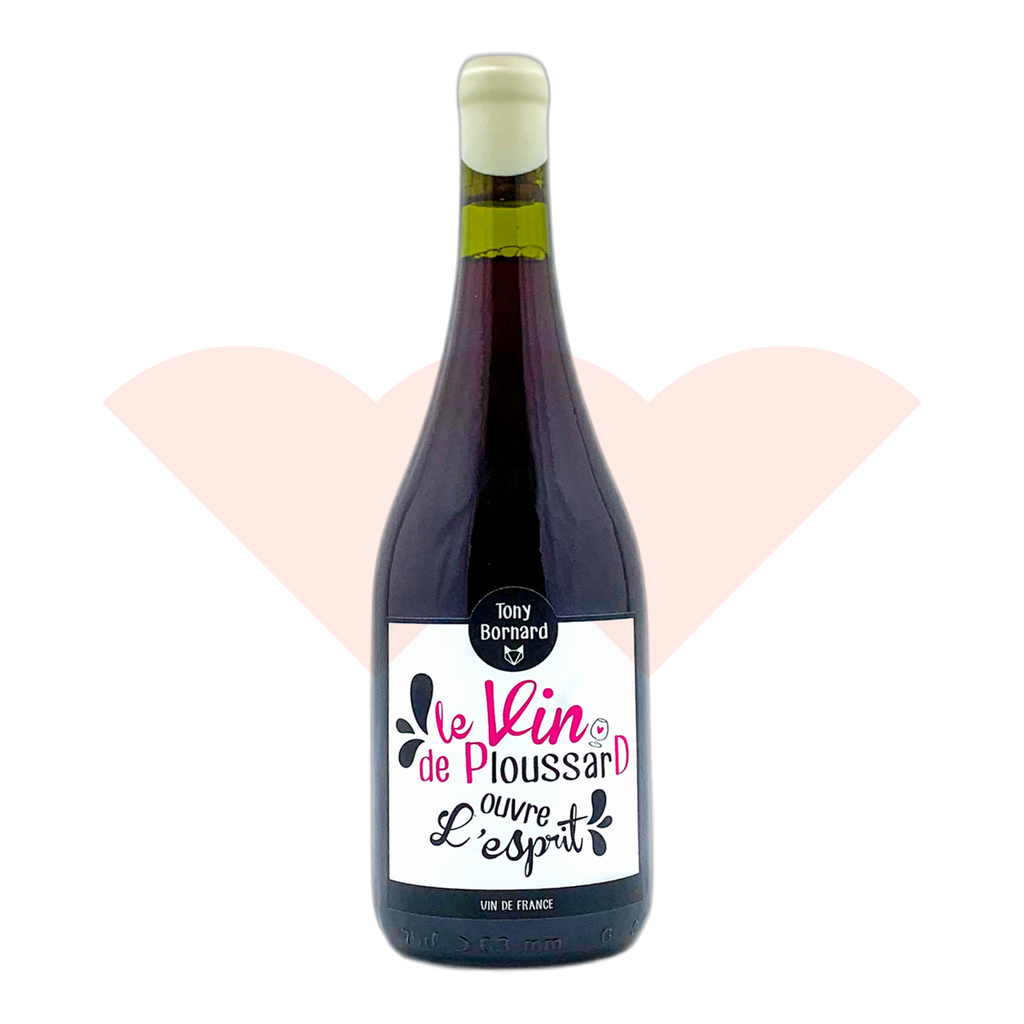 17389621-lavie-1a8l-20261025