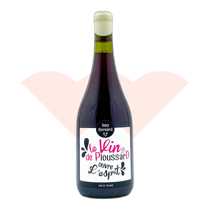 17389621-lavie-1a8l-20261025