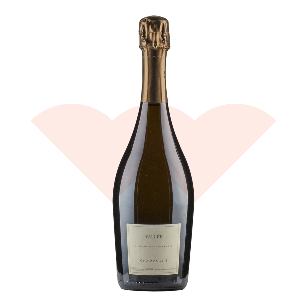 17389501-lavie-1a8l-20261025