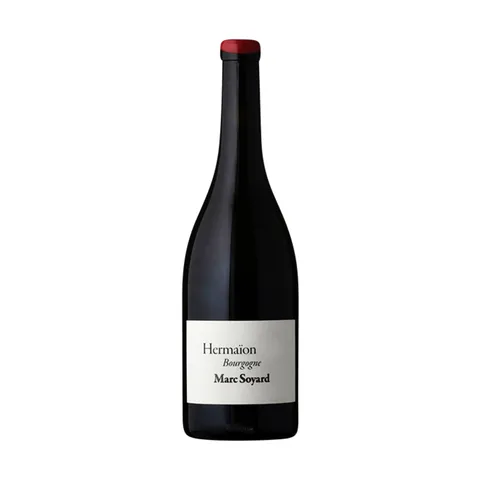 Bourgogne 'Hermaion' 2019.jpg