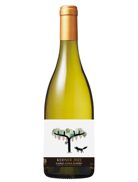 2023_10_23_13_07-53a6f701