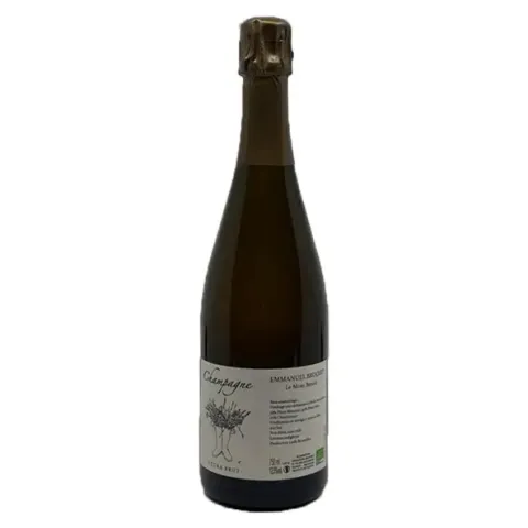 EmmanuelBrochetLeMontBenoitNV_19