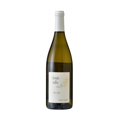 Easystore酒款獨照 (91)