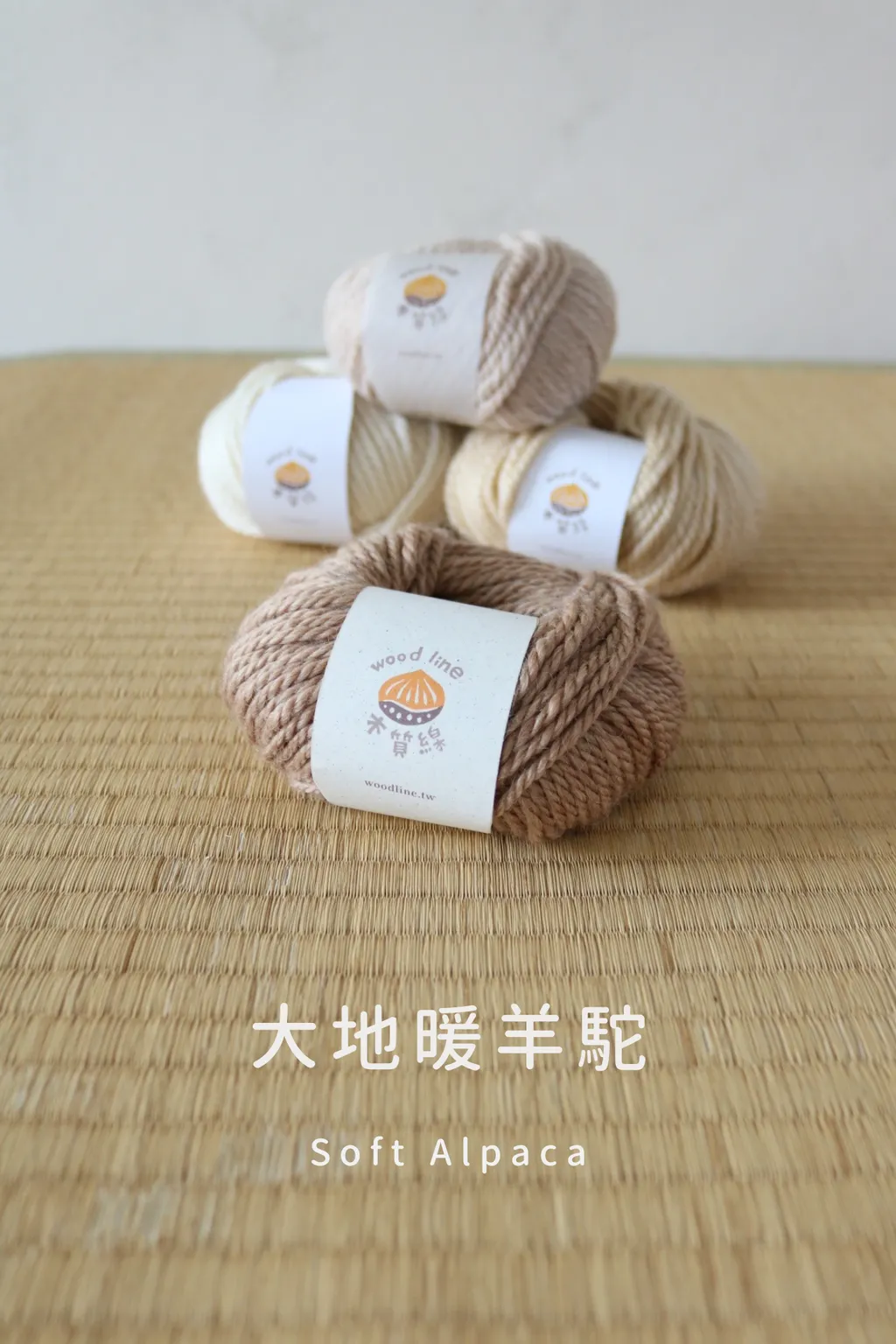 大地暖羊駝.zip - 4-1738157936697