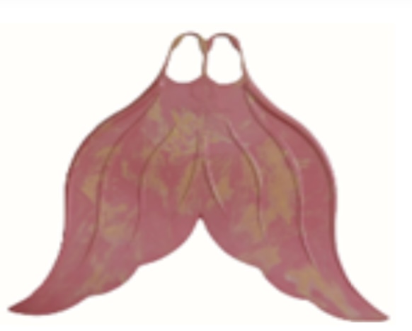 Elegance Swim Merveille League