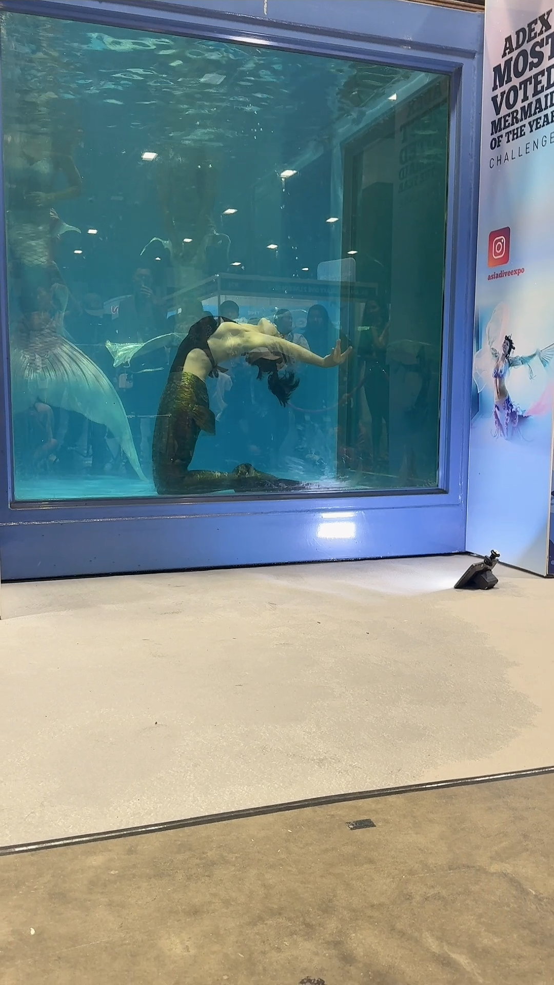 ADEX SINGAPORE 25 in tank