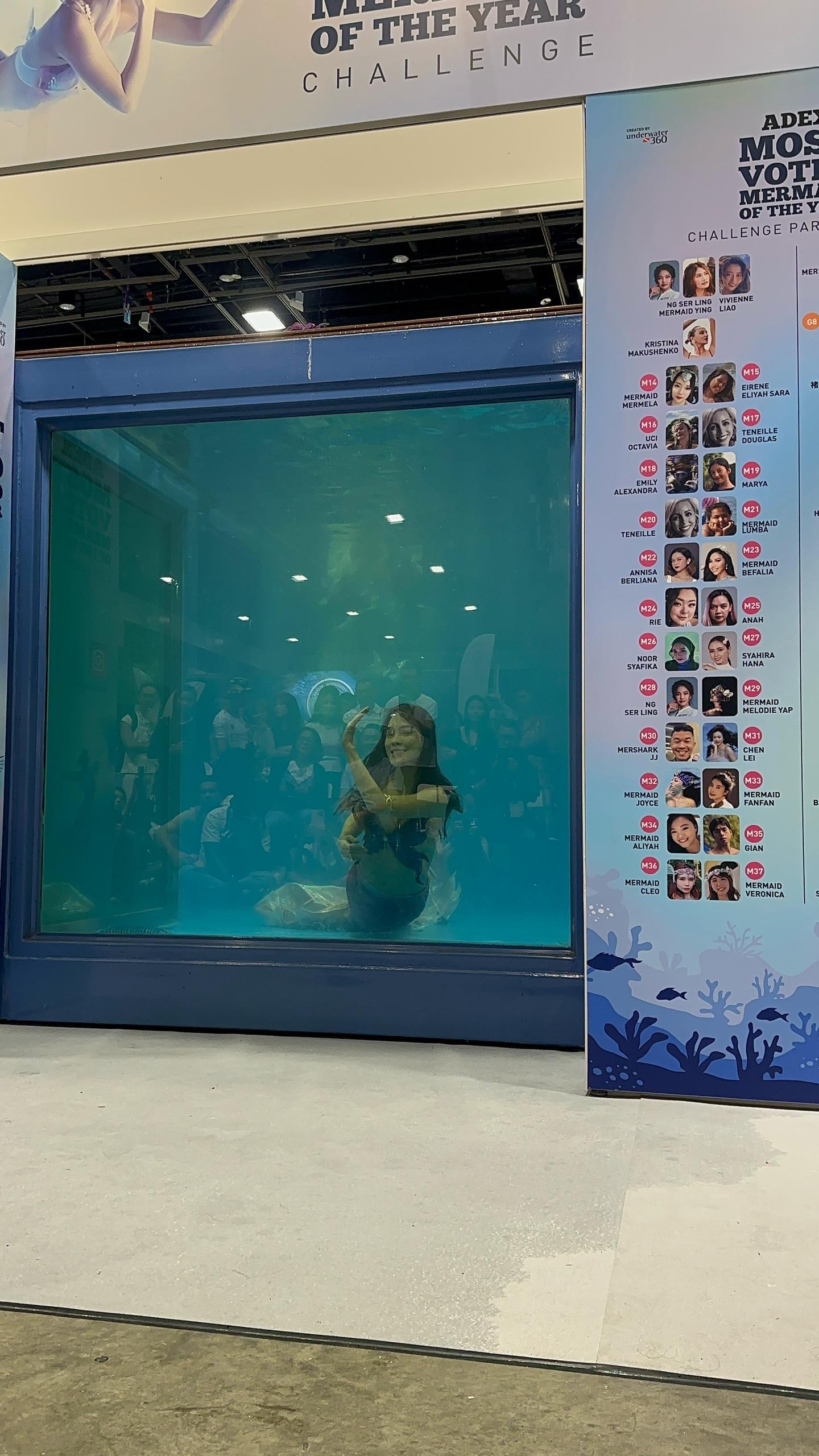 219dba32-dcc7-4626-922c-a5b58eff24dc