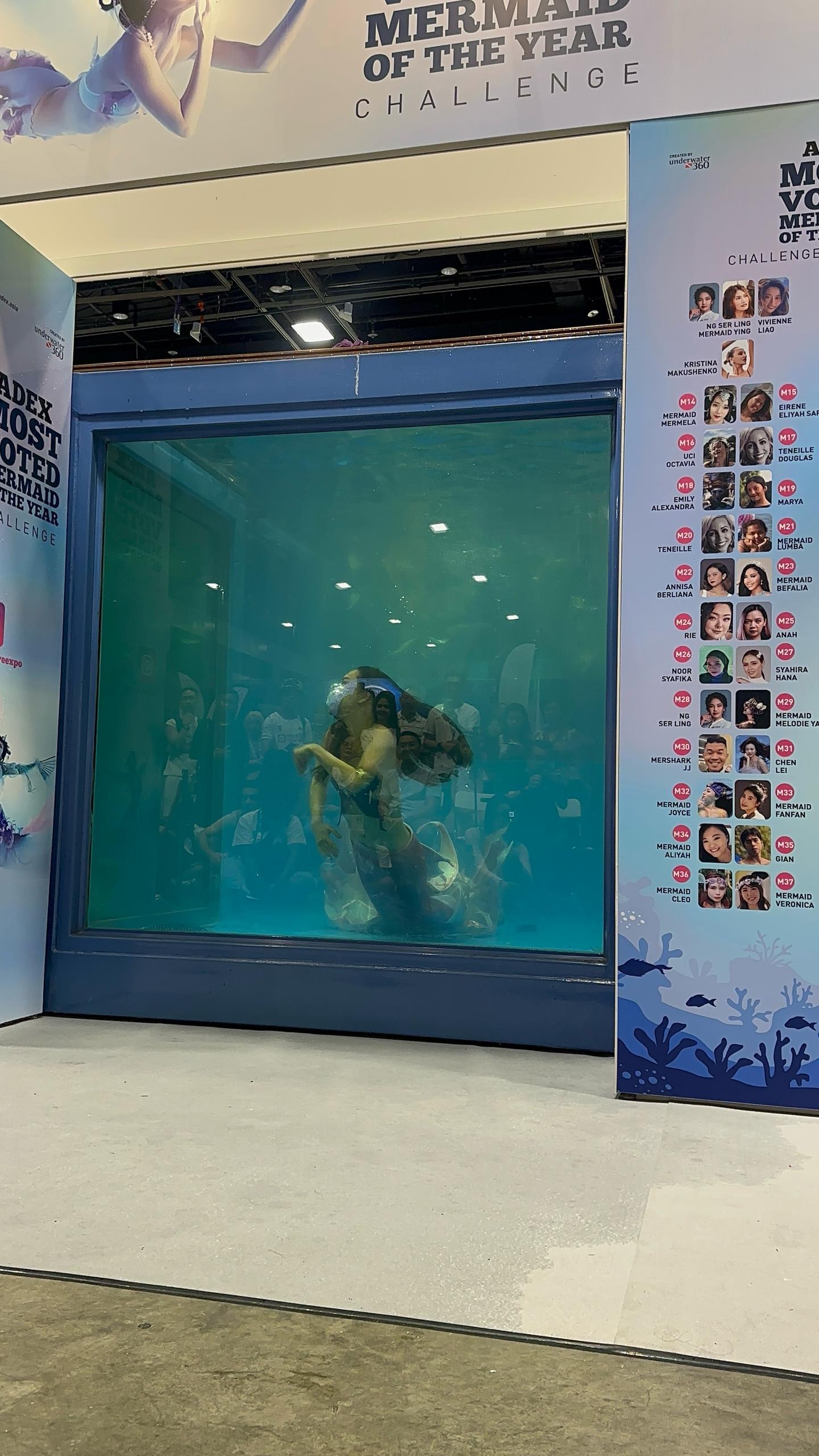 988311f9-5242-4093-9680-3e7c49dea19f