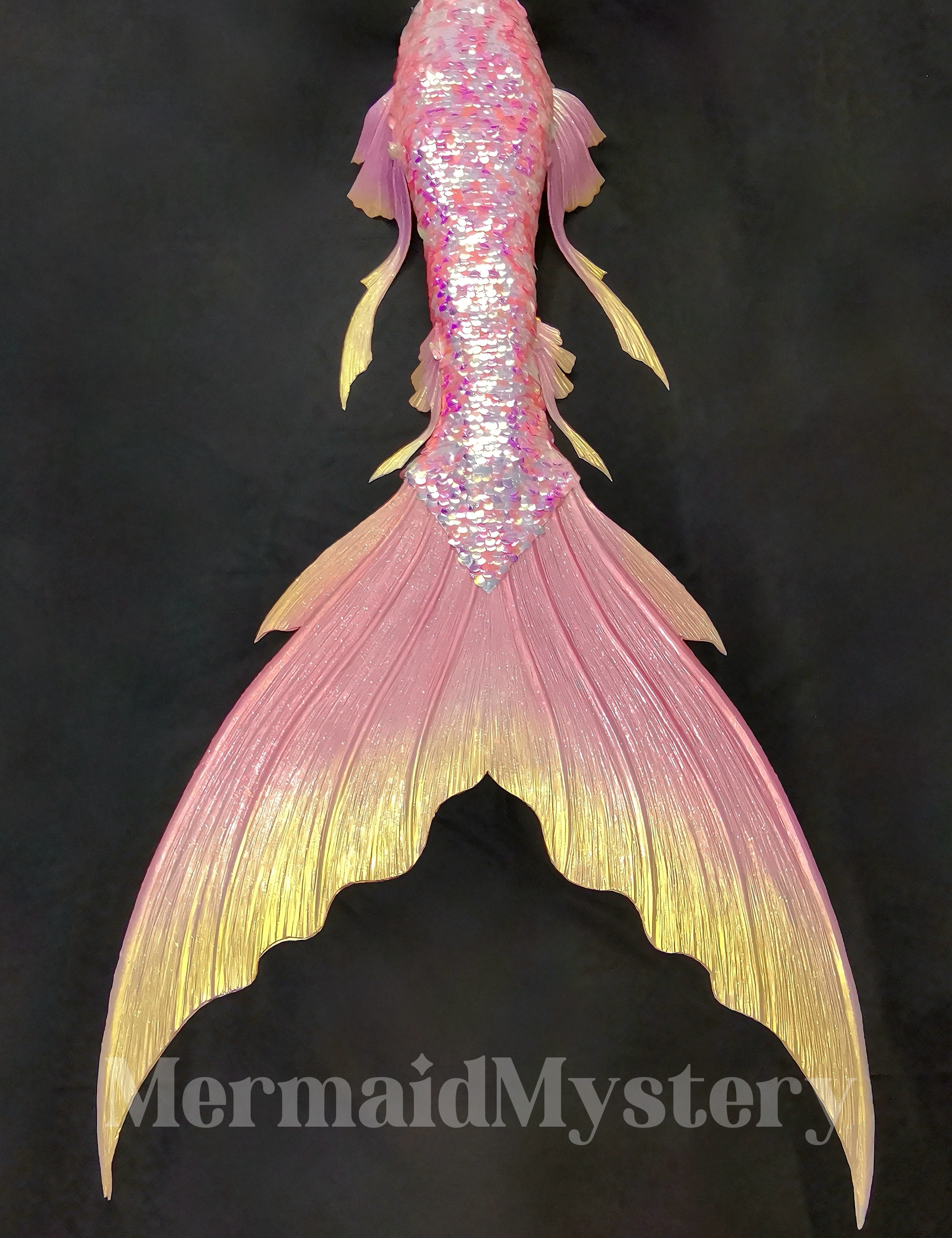 image_559EEE34-A3B9-48C1-857A-33E6FD685714_1745244310