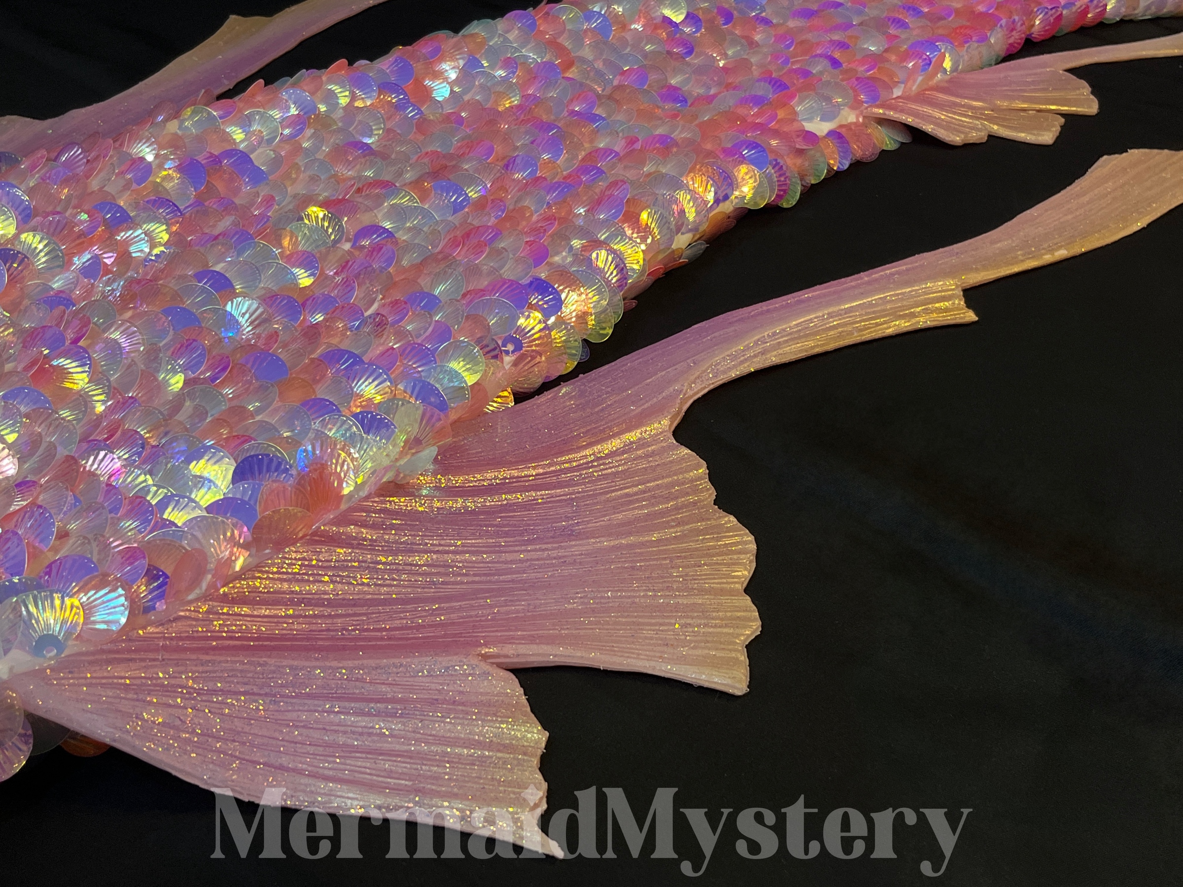 image_566DE183-5609-4638-97B9-1DA8EAF6A300_1745244310