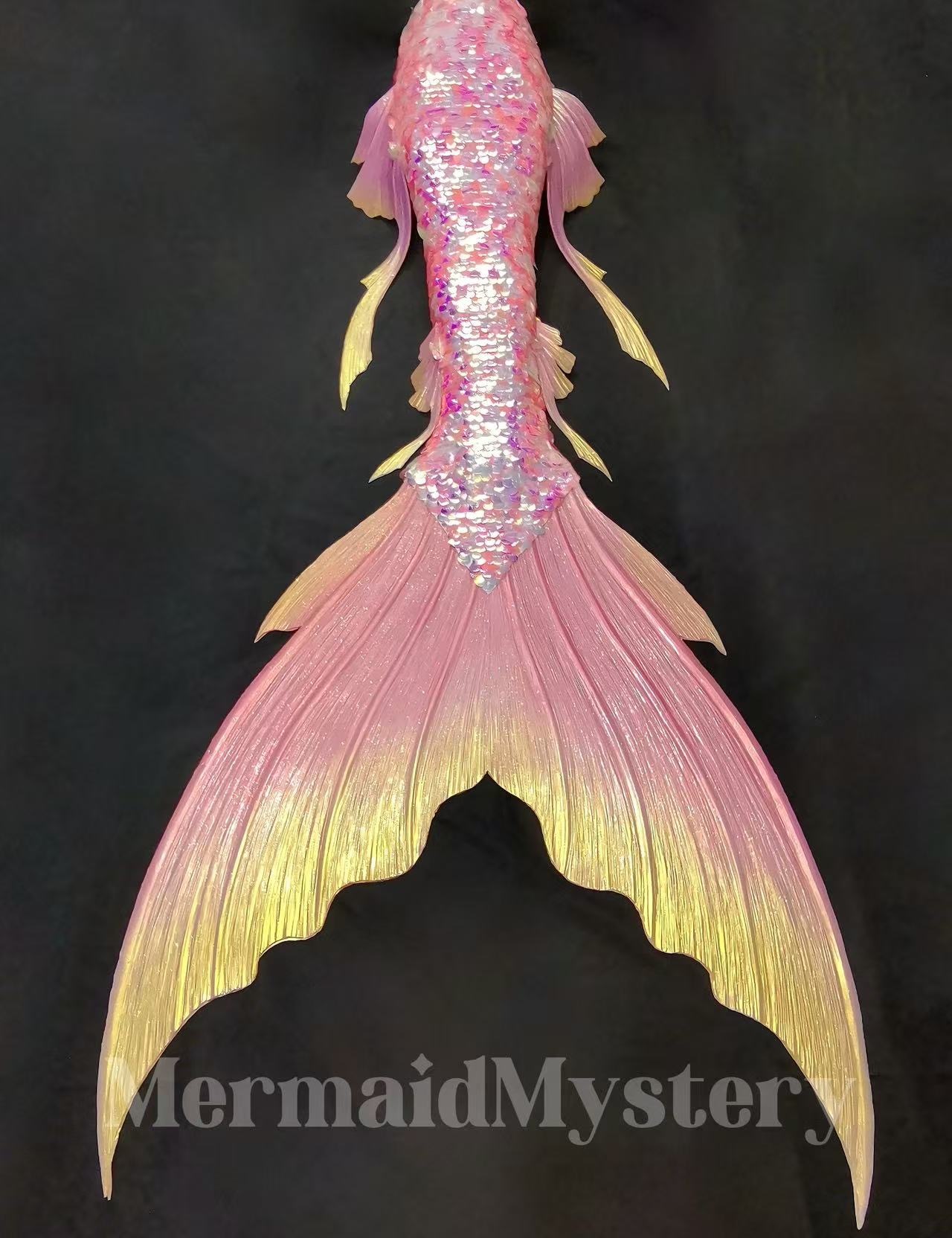 image_06ACE8A8-FCA8-402C-8014-7916DA613030_1745244311