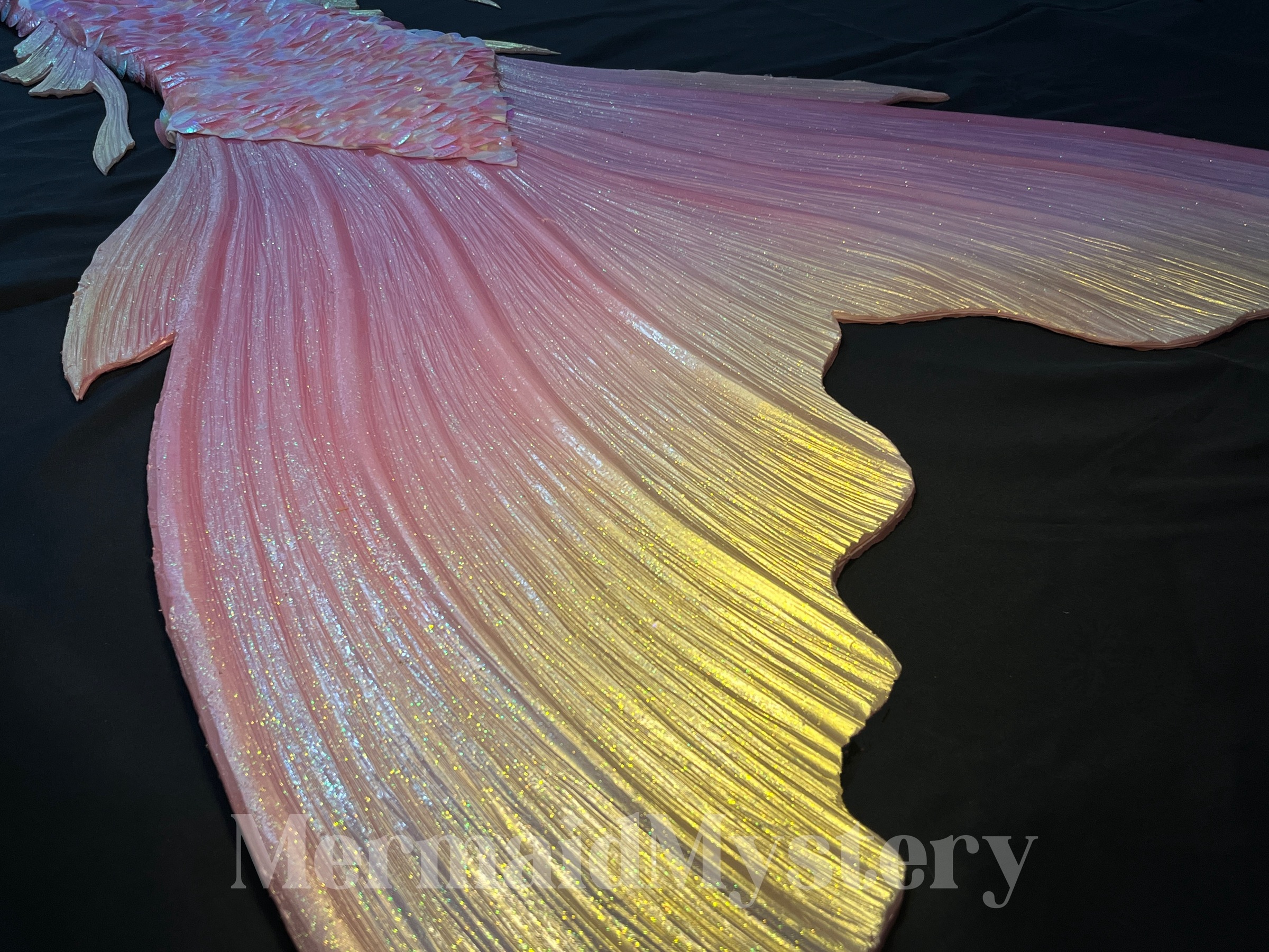 image_87D84BDF-D9D5-433F-964F-95332822C2AB_1745244311