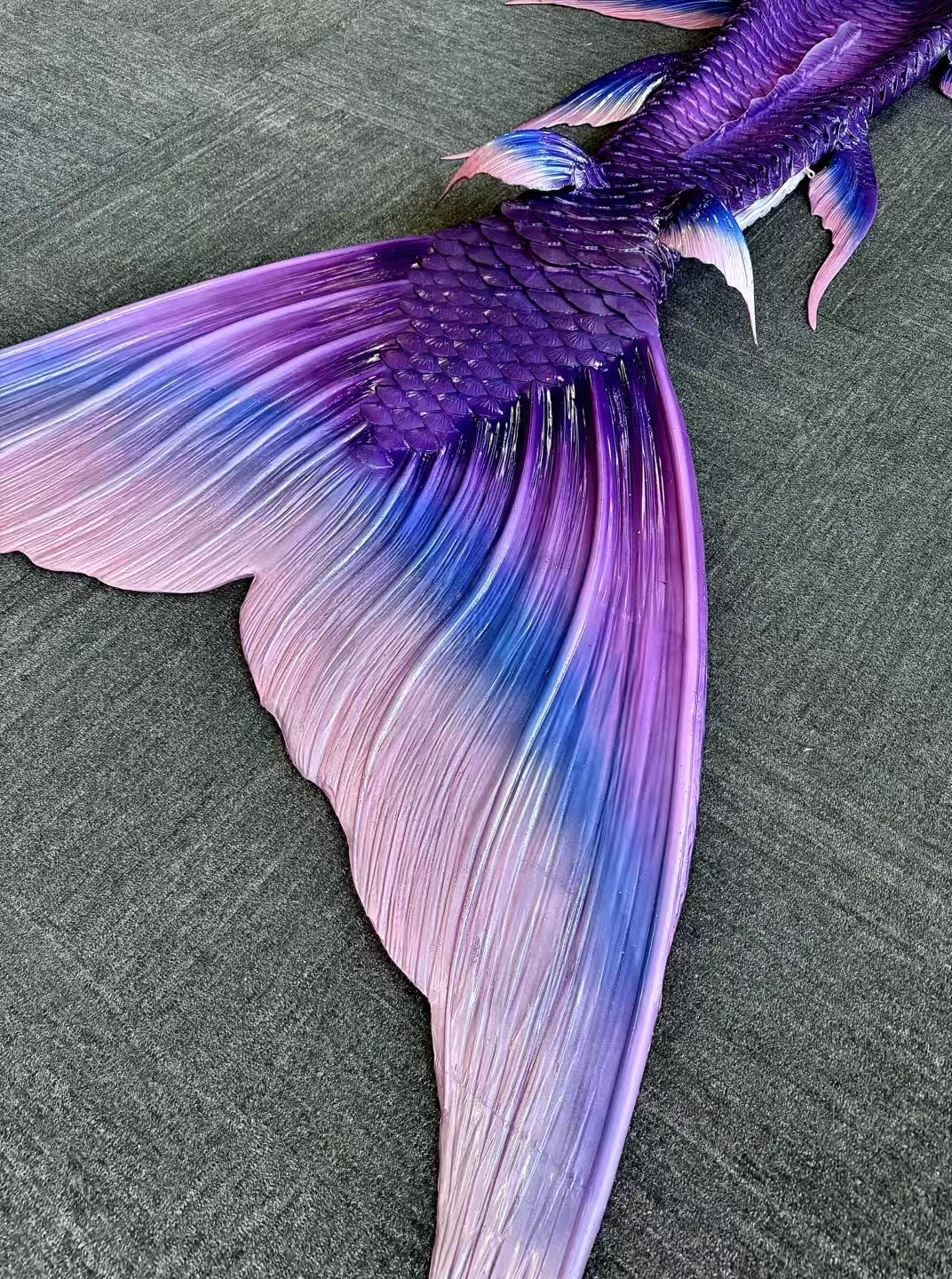 image_D416B893-3302-4128-A71D-D4D7361A6474_1745244519