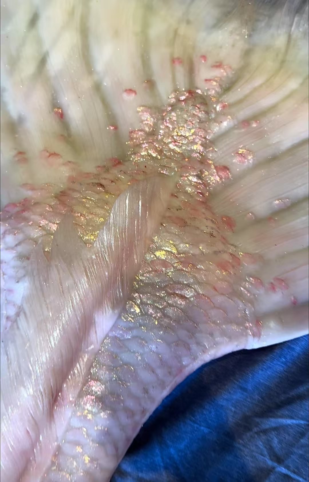 image_C1381CCC-1F34-40E1-BF91-91F2E8013DB7_1745244519