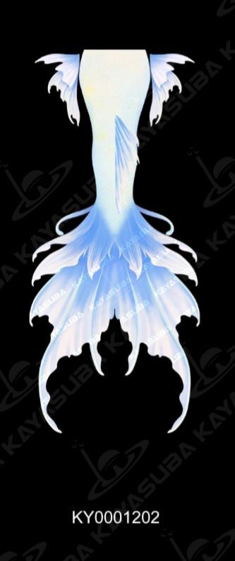 image_E5AB5990-1A58-4953-B20D-017190AFA2CF_1745244850