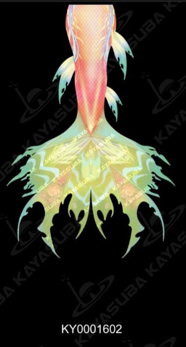 image_5F64A2A4-722E-4300-ADD1-62D65D612FF9_1745246044