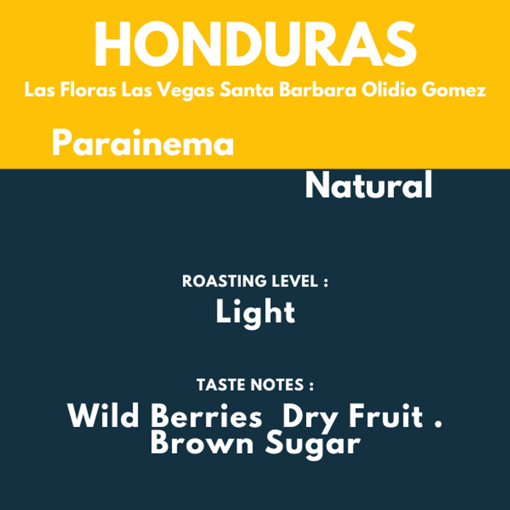 SINGLE ORIGIN (1)