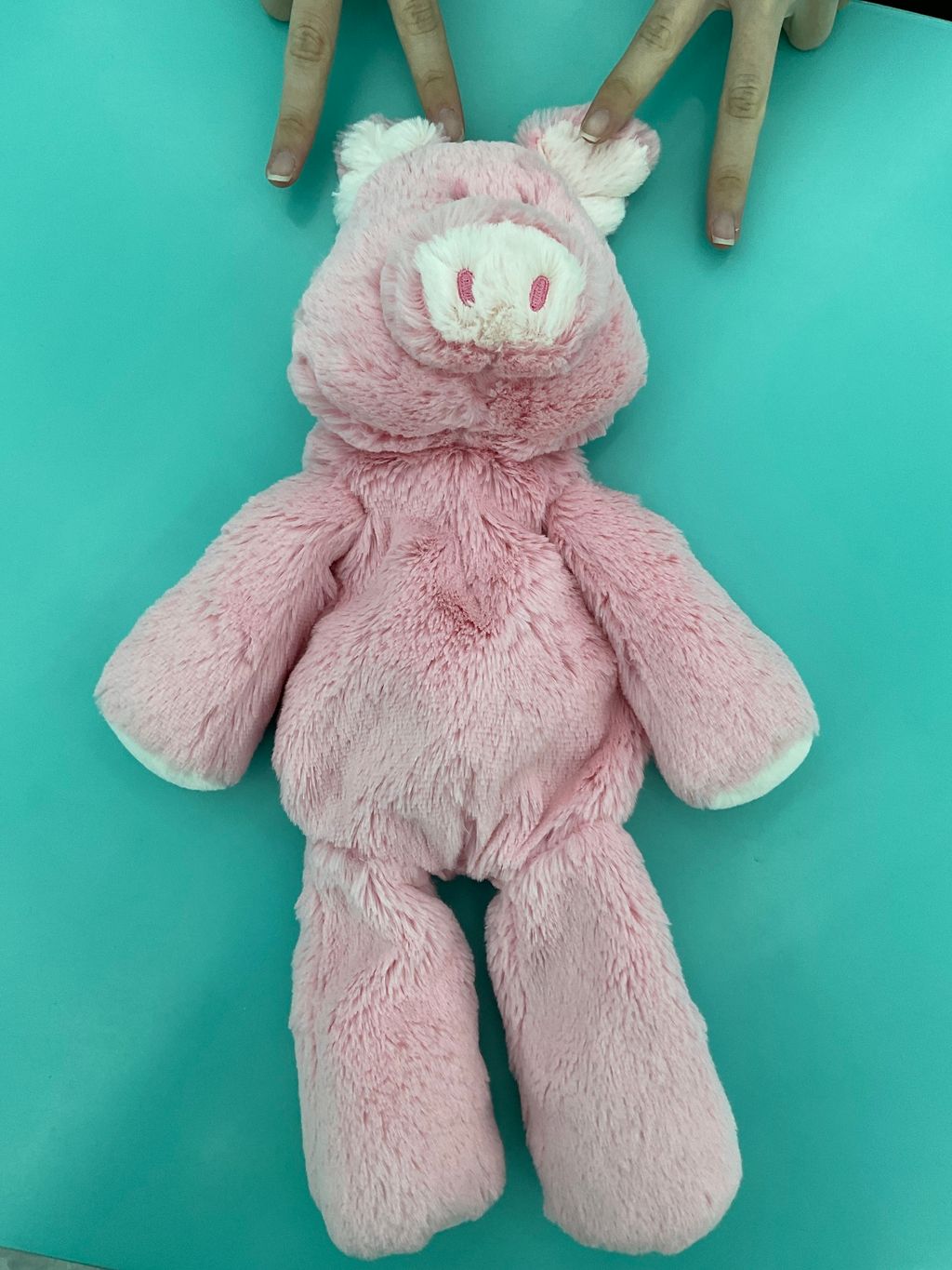 image_picker_C0FA698A-34A4-479F-B947-A47D1A73C03A-2017-0000051C8EF61E98