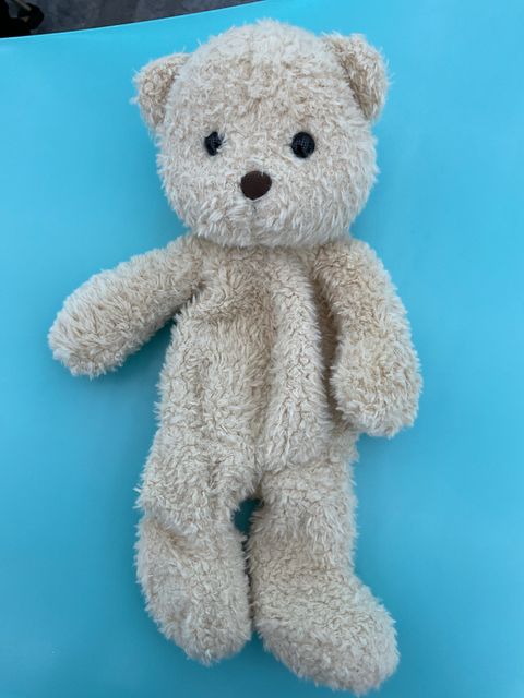 image_picker_A906E408-A2CF-4960-A06A-EFB52D7996A4-2017-0000051DC06D6931