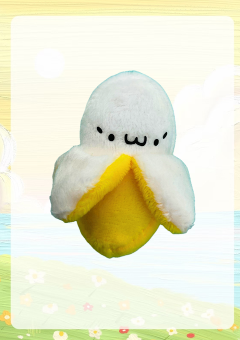 48_20260208_211905_0009