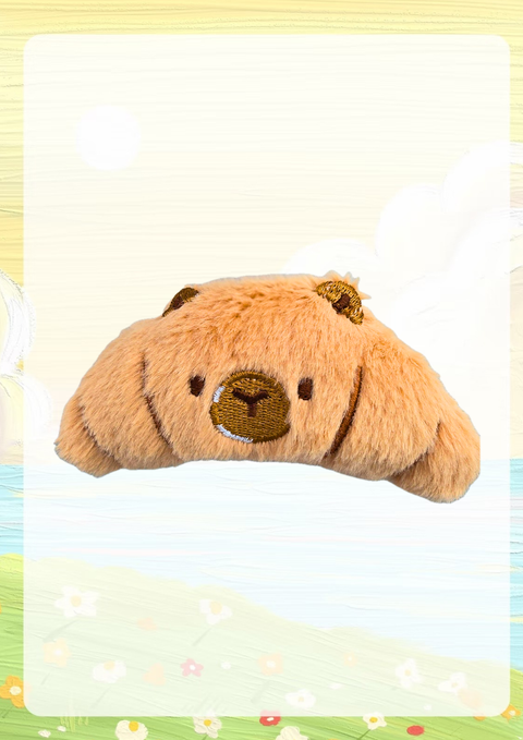 50_20260208_211905_0011