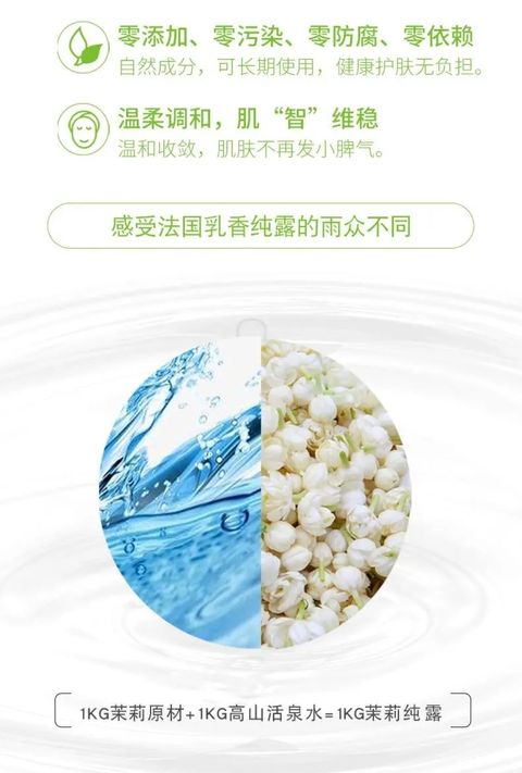 Screenshot_20241204_124807