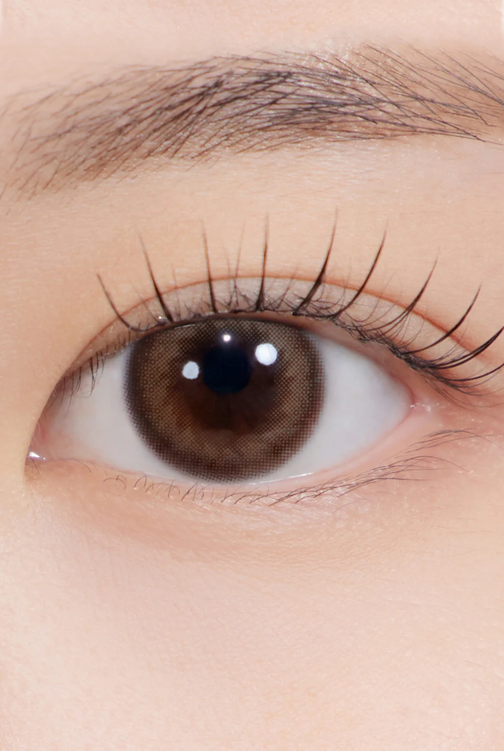 AdorableKristin13.4_brown