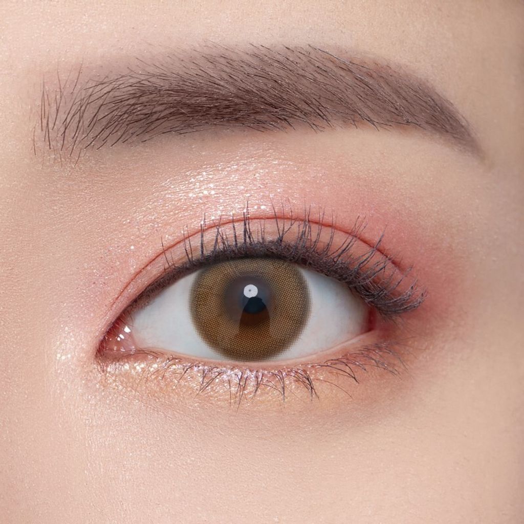 Ending_brown_eye