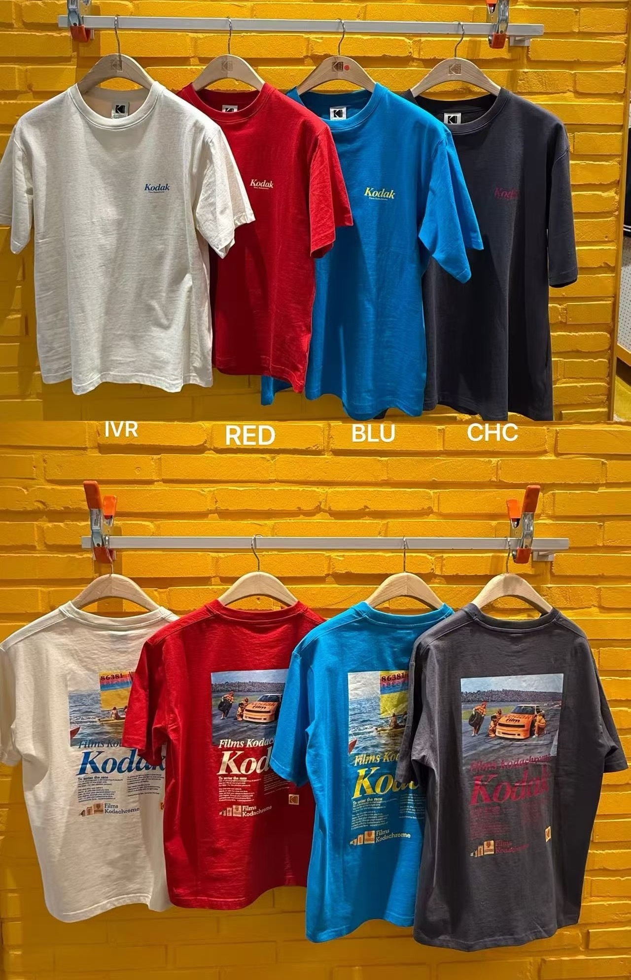 image_E67C7103-27AA-4D5A-82B0-D46156B5885E_1770026619