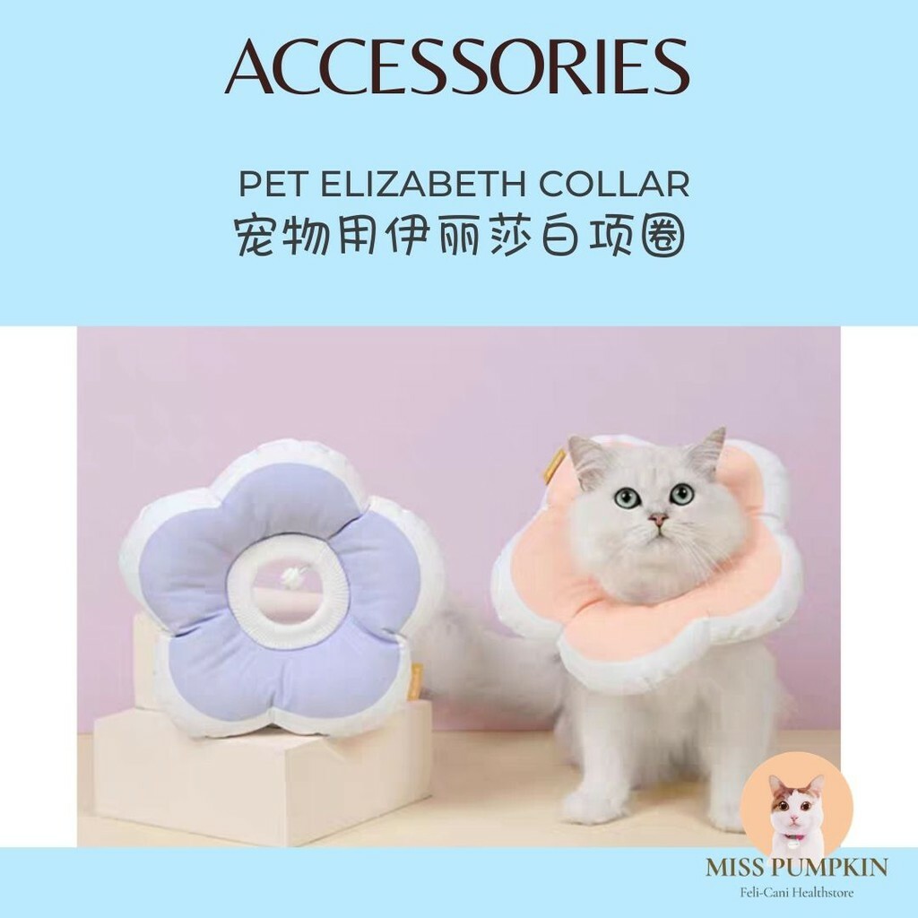 anti scratch collar