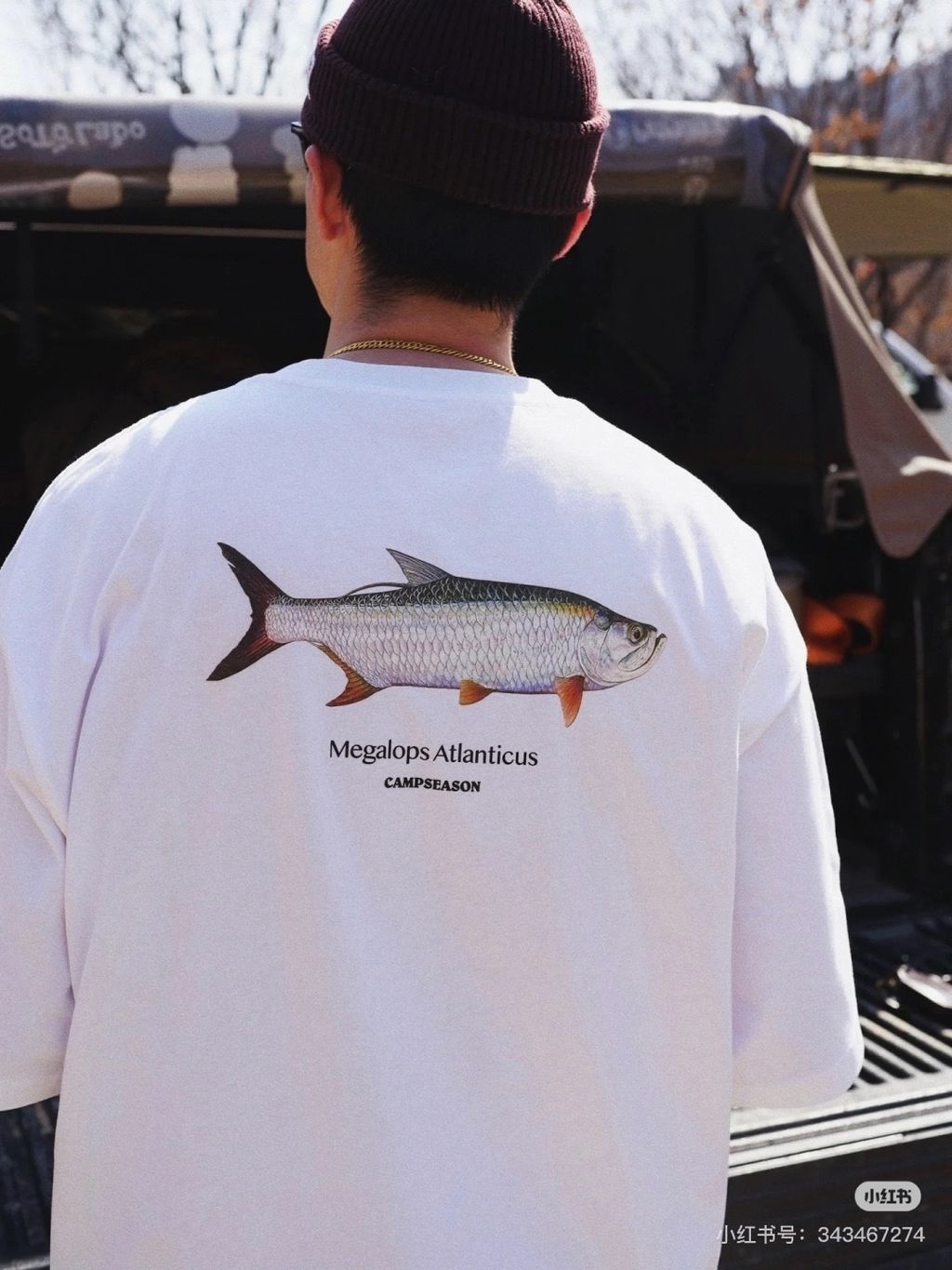 image_F70EFA16-7E0F-4EB3-A047-40B8C07CDDCB_1774167994