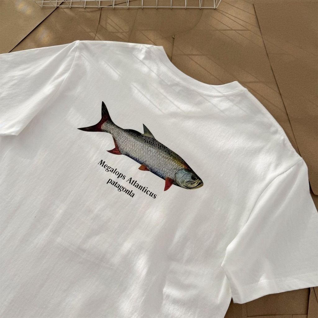 image_C202FB19-057C-4FED-B700-5C65E1A3F45D_1774167994