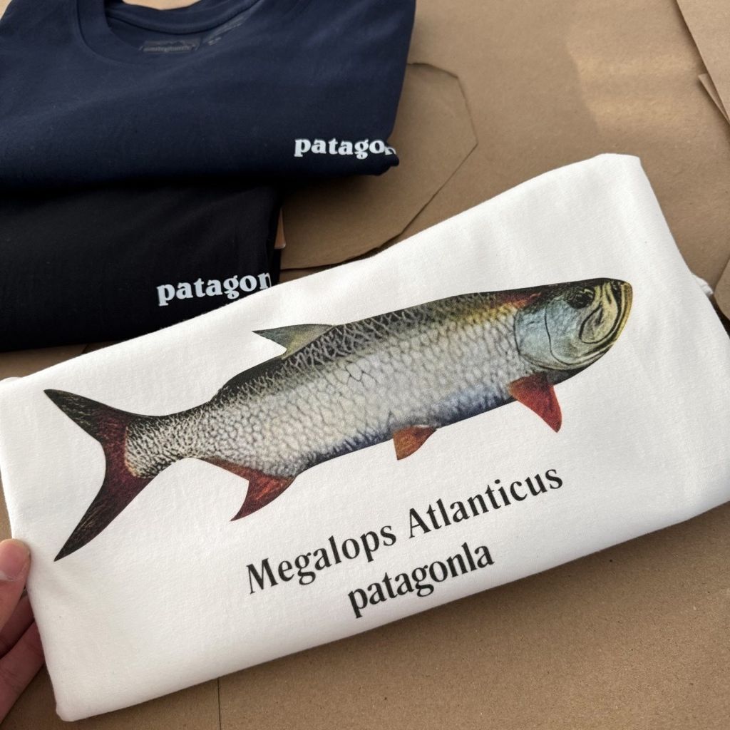 image_07718825-8C4C-4EA6-B32A-0DD9AC4C153E_1774167994